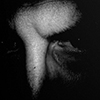 Benutzer Avatar